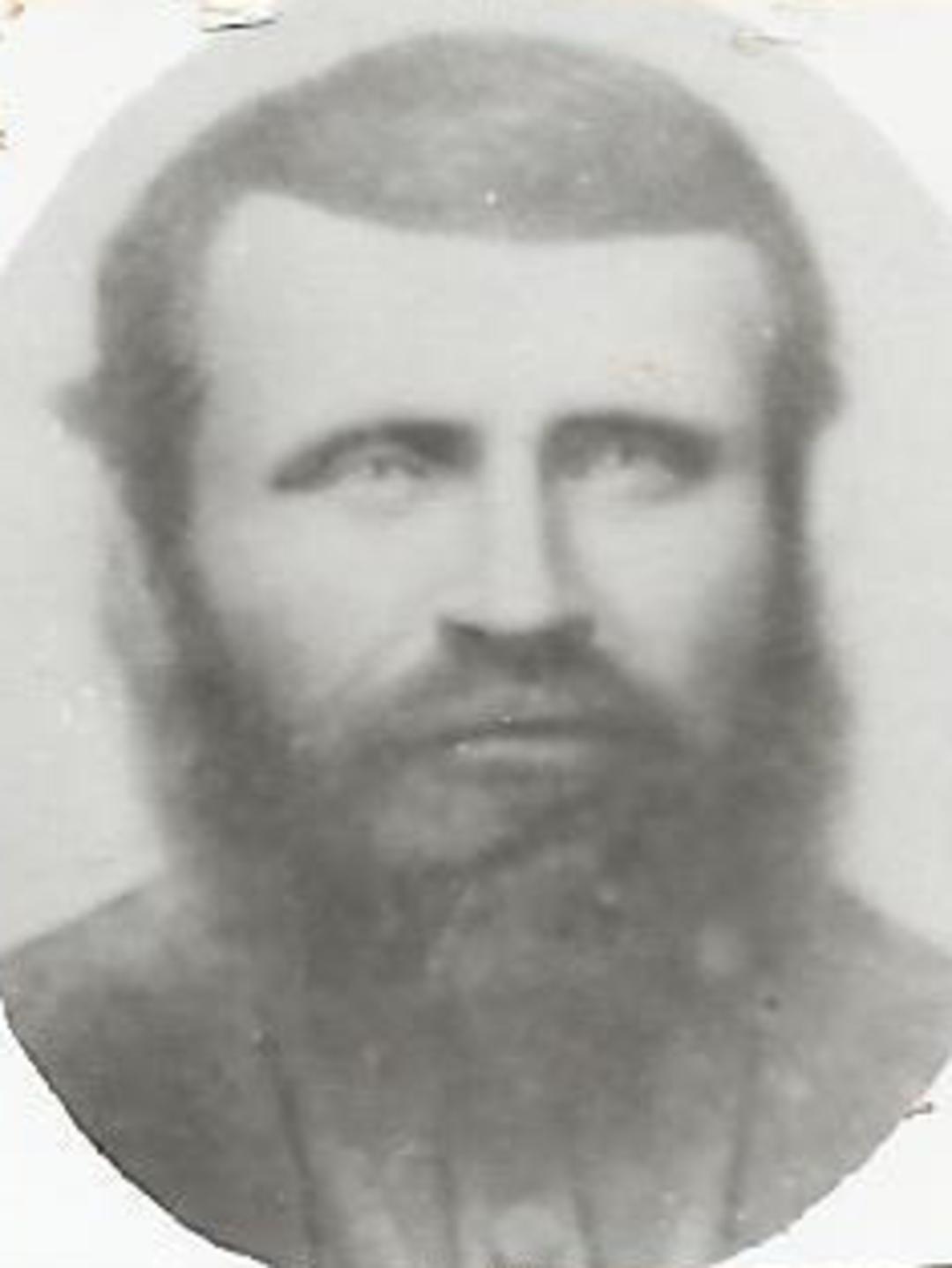 William Simpson (1838 - 1888) Profile